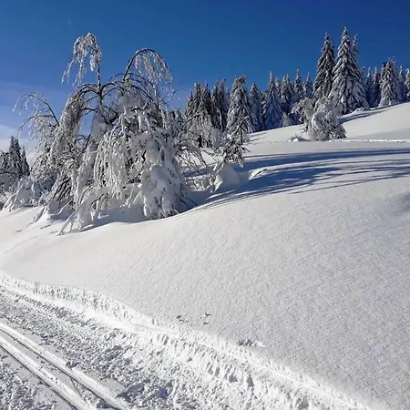 Lotti - 5 Personen, Ruhige Lage, Wlan Daire